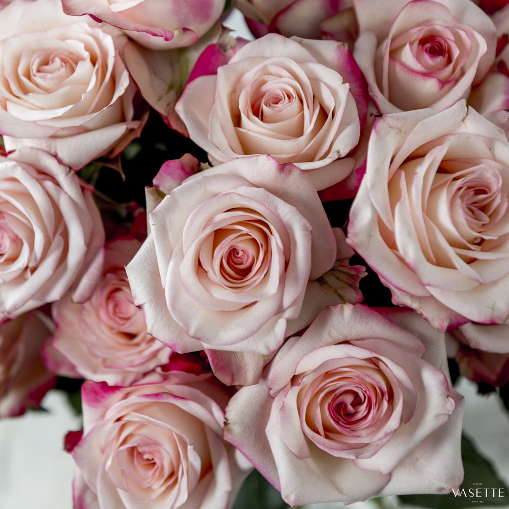 Rose Vase from Flowers Vasette