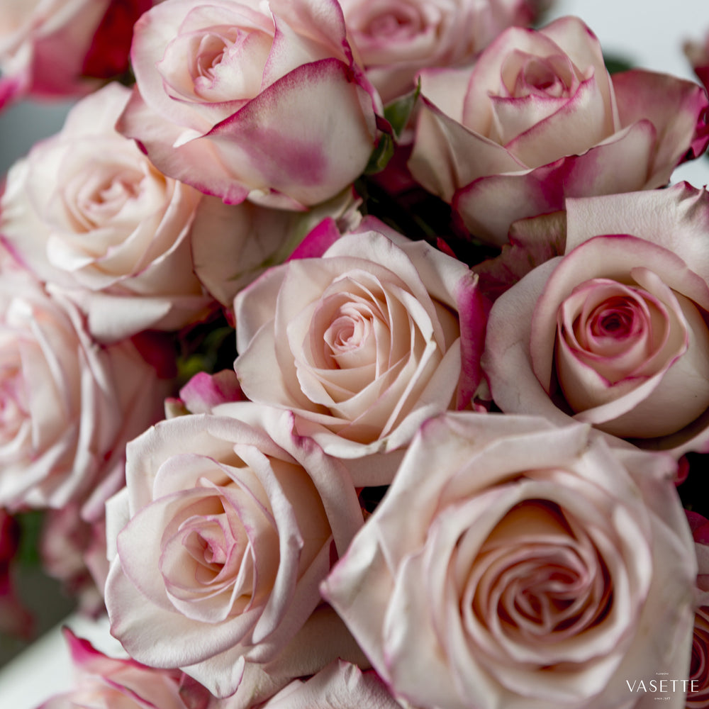 Rose Vase from Flowers Vasette