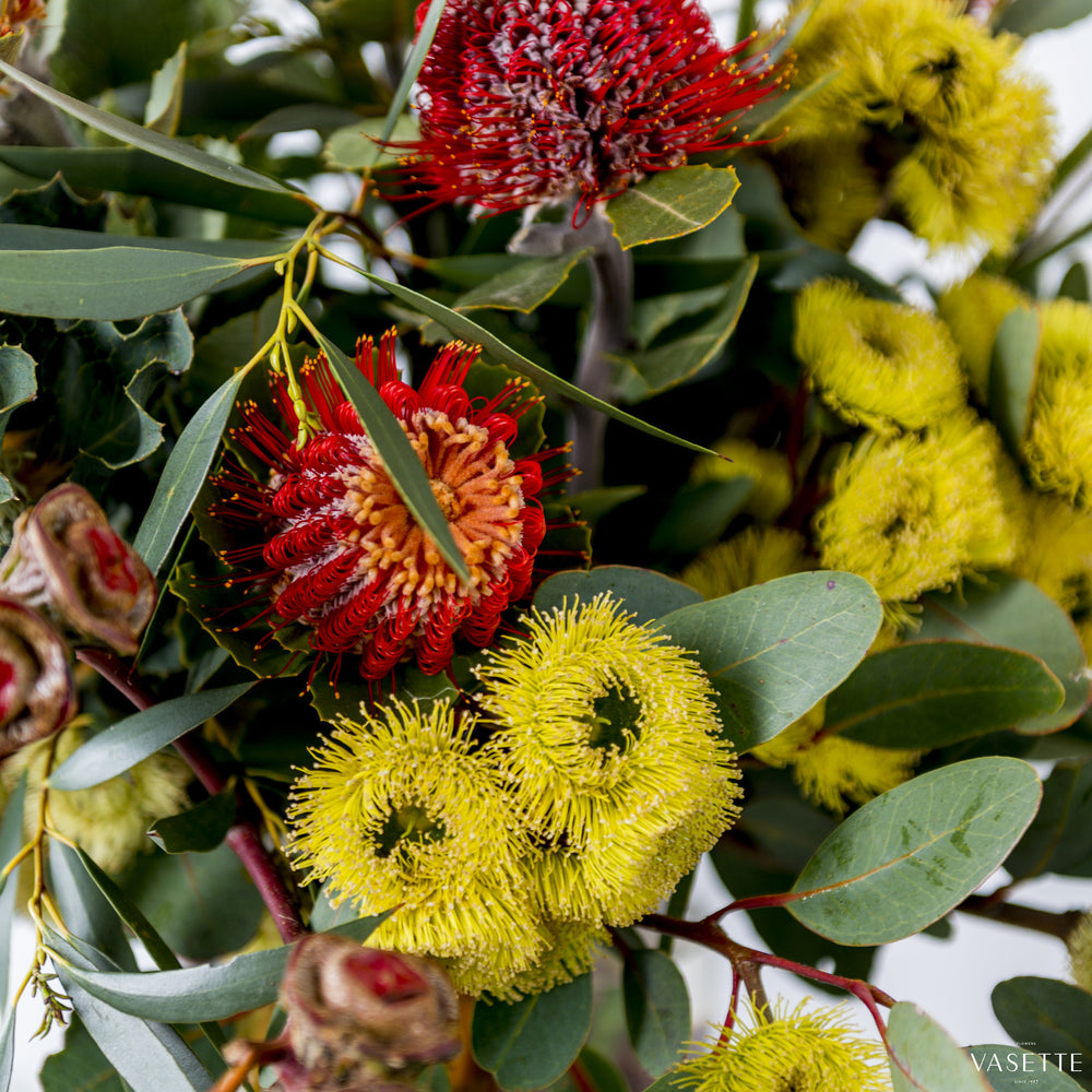 Natives from Flowers Vasette