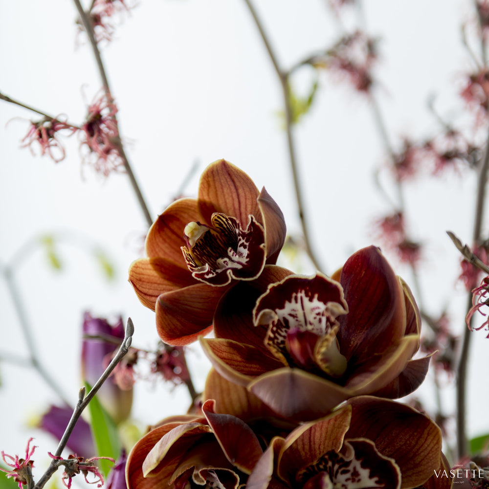 Architectural Bouquet from Flowers Vasette