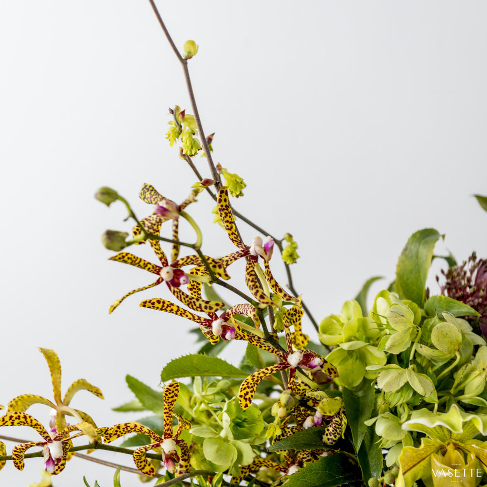 Botanics from Flowers Vasette